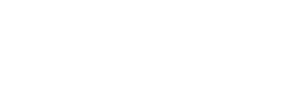 save logo
